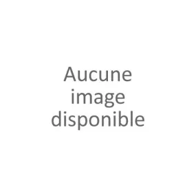 Baskets semelles épaisses femme (36-41)